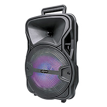 portable party system