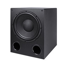 12 in 200 Watt Subwoofer SAG0281